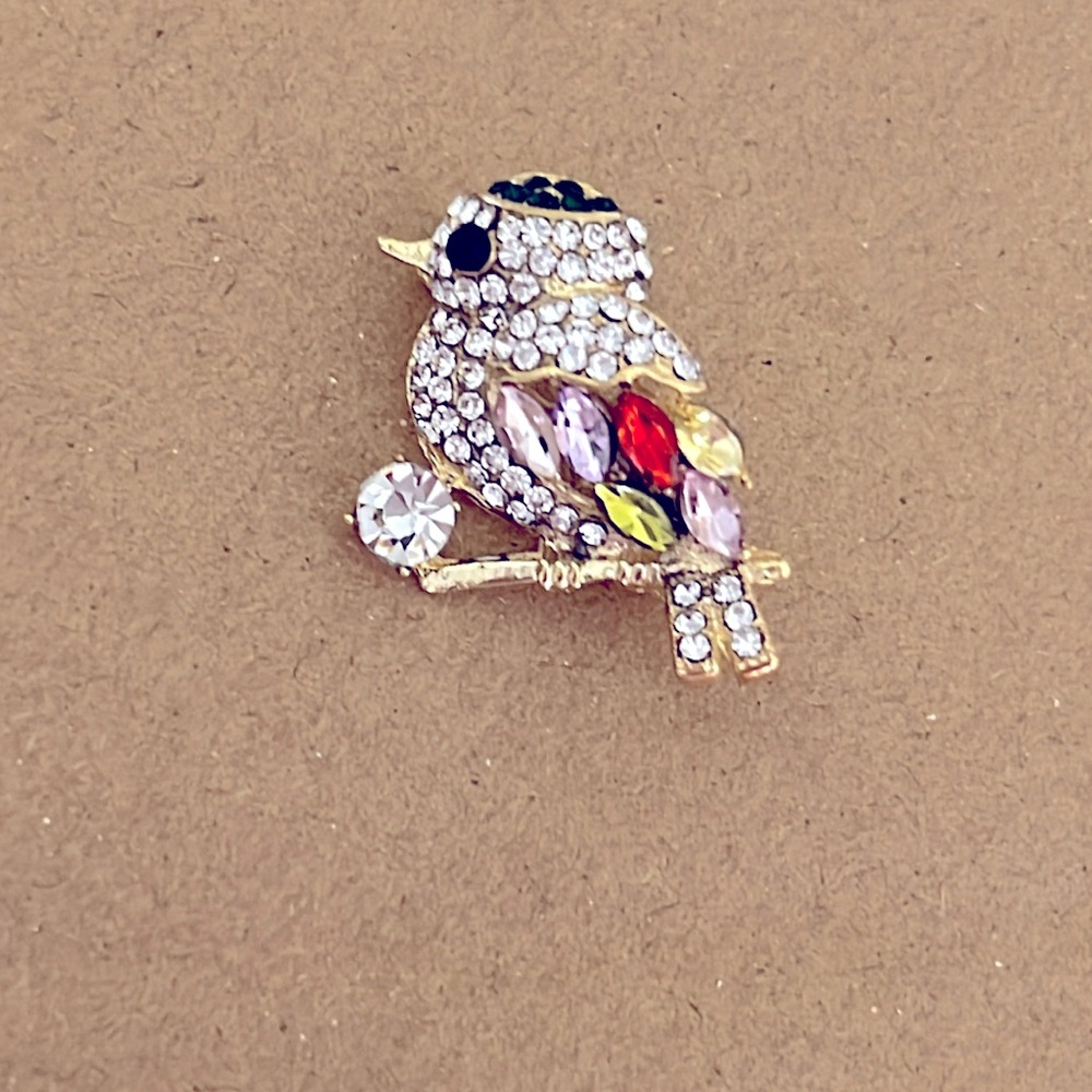 Rhinestone Magpie Brooch